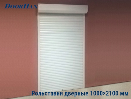 Рольставни на двери 1000×2100 мм в Москве от 36835 руб.