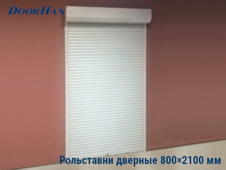Рольставни на двери 800×2100 мм в Москве от 33095 руб.